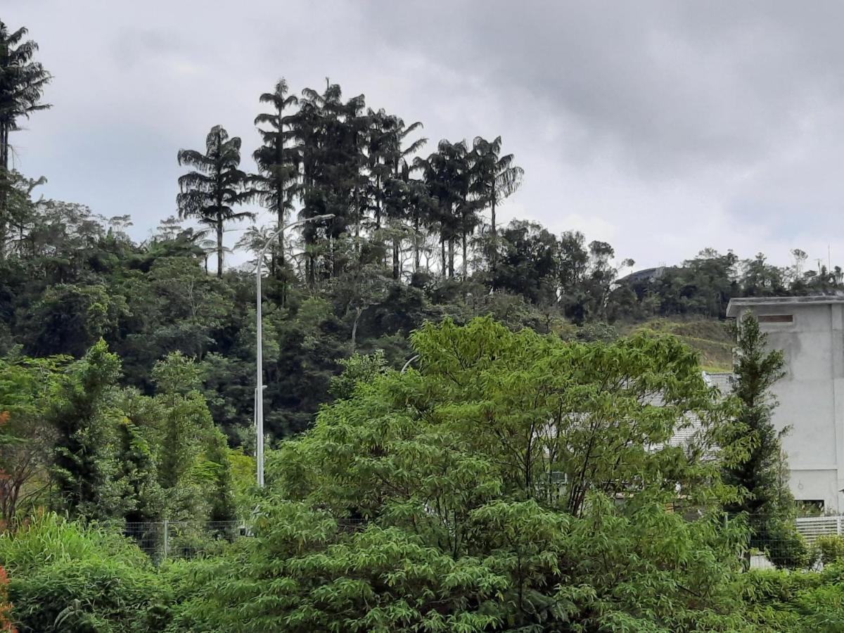 Lily Homestay Barrington Square Cameron Highlands. Brinchang Exterior foto