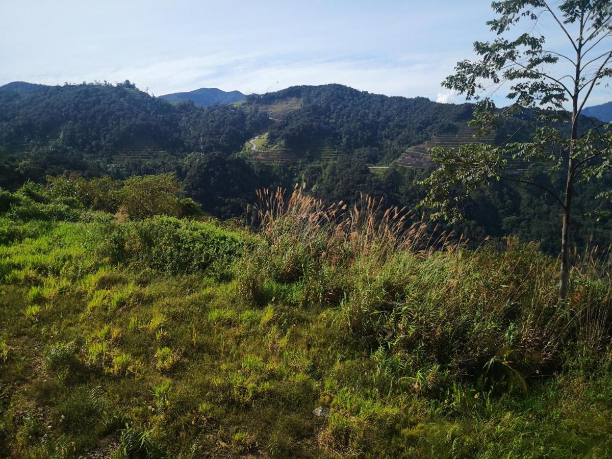 Lily Homestay Barrington Square Cameron Highlands. Brinchang Exterior foto